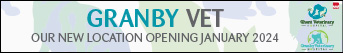 Granby Vet