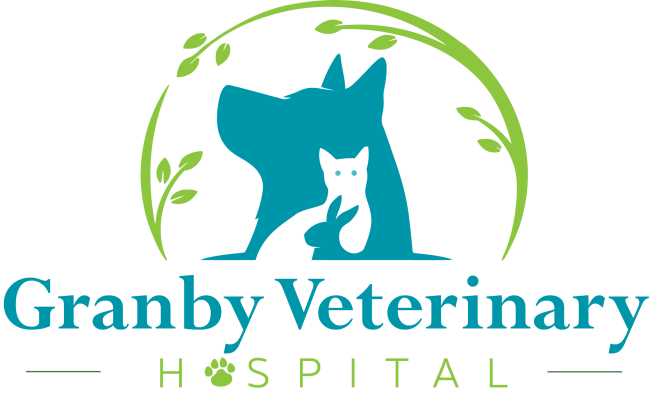 Granby Veterinary Hospital - Granby, VA