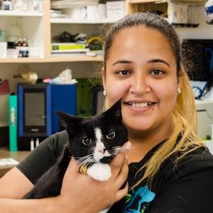 Ghent Veterinary Hospital Veterinarians
