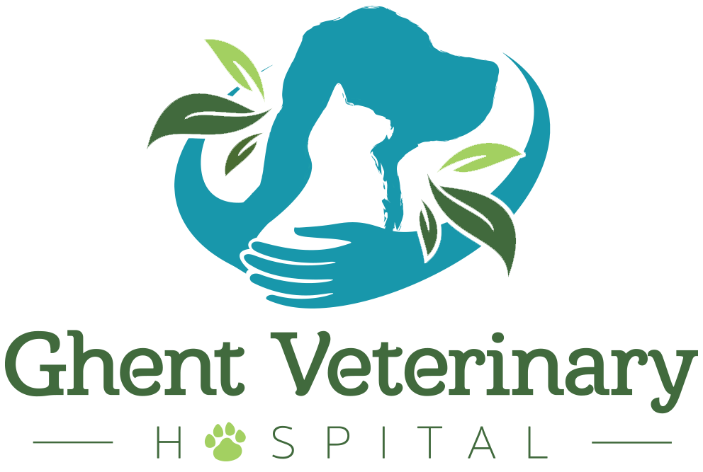 Ghent Veterinary Hospital